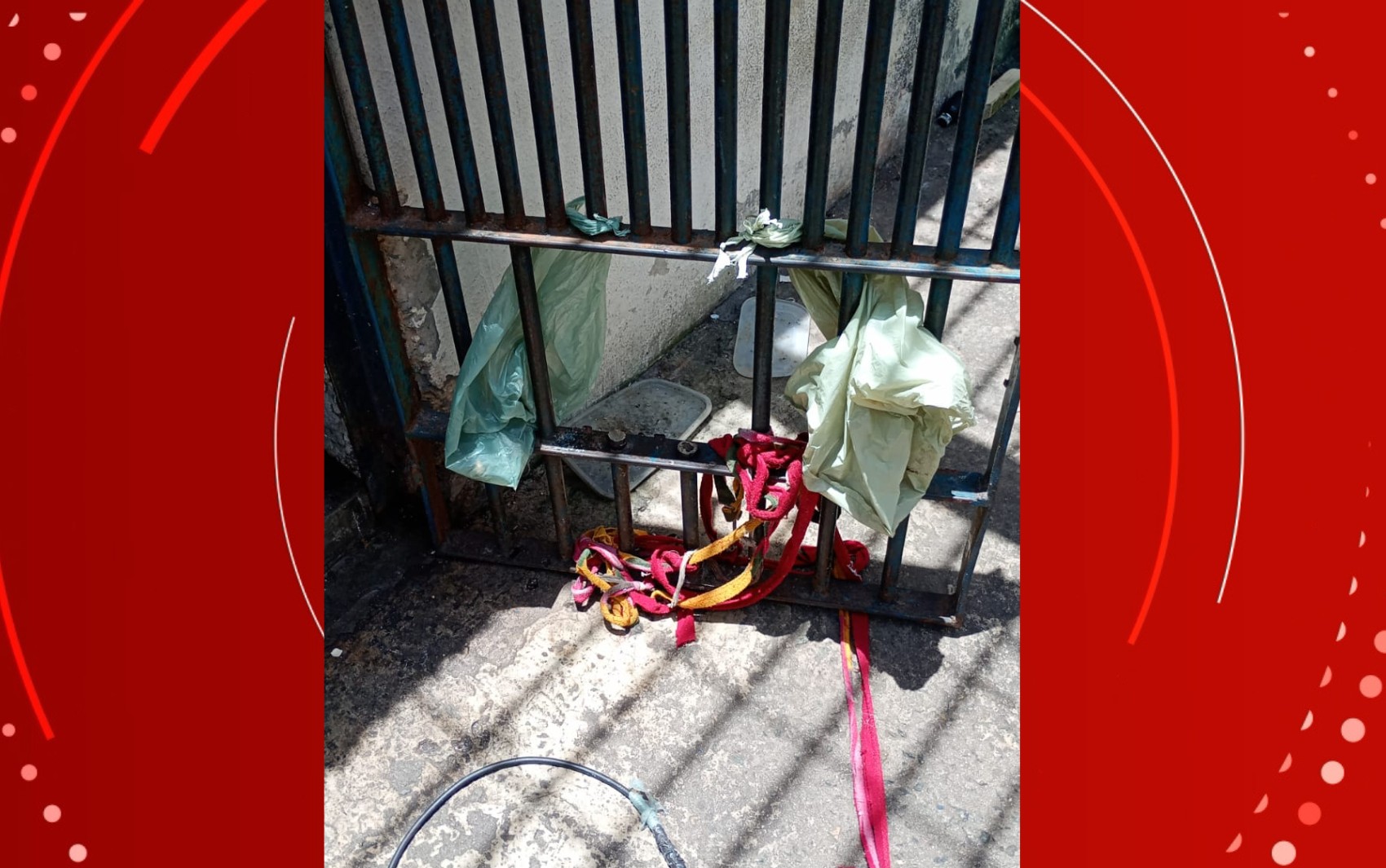 foto Not&iacute;cia Salvador