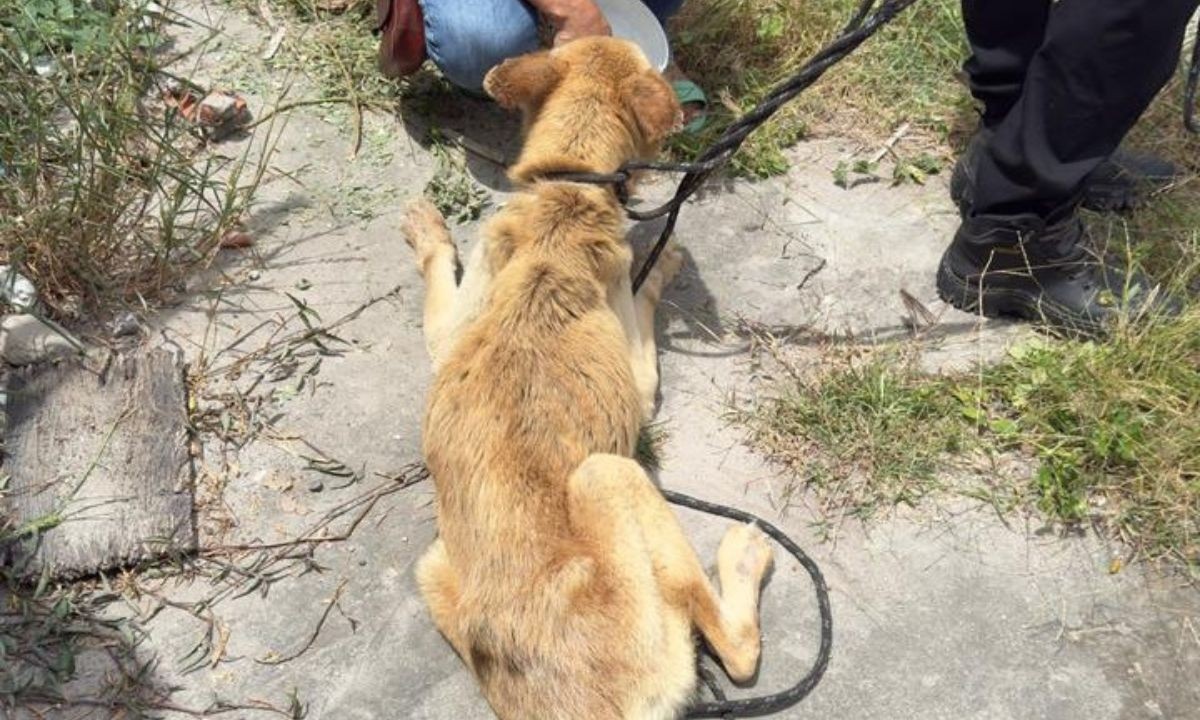 foto Not&iacute;cia Salvador