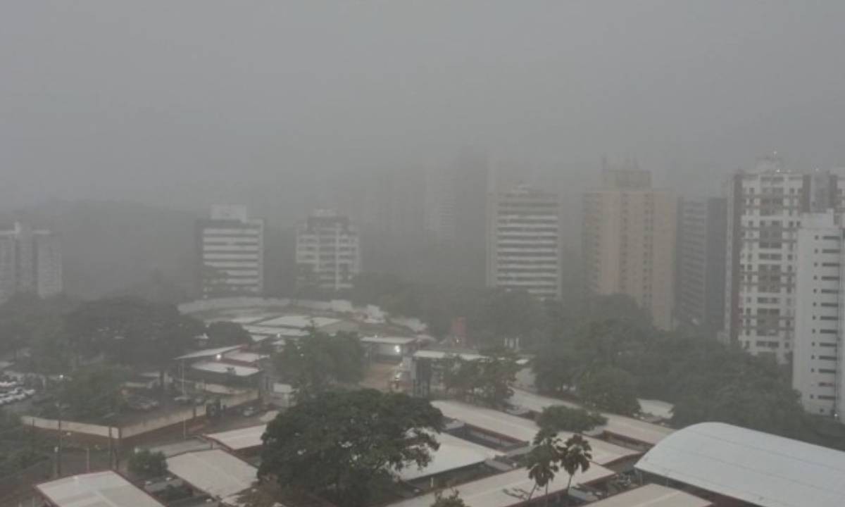 foto Not&iacute;cia Salvador