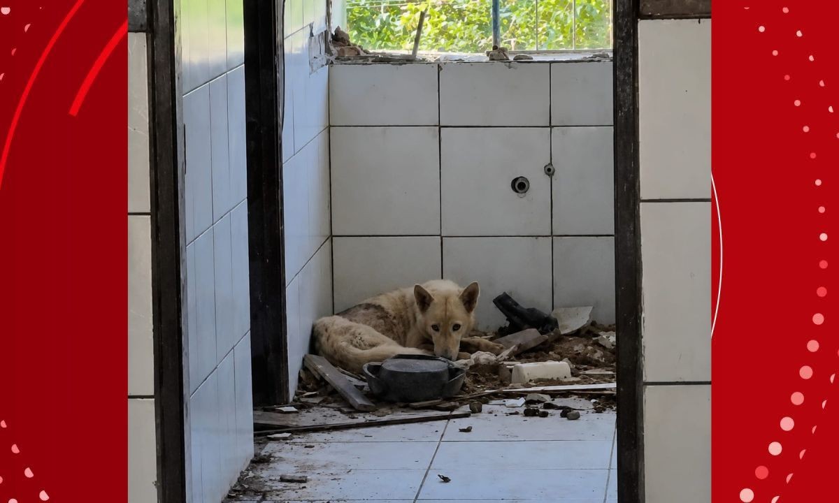 foto Not&iacute;cia Salvador